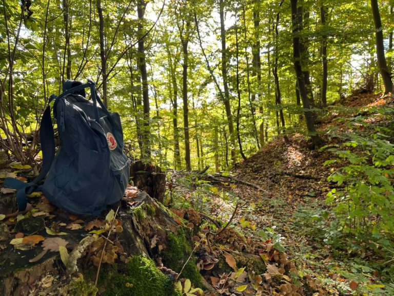 Rucksack_im_Wald